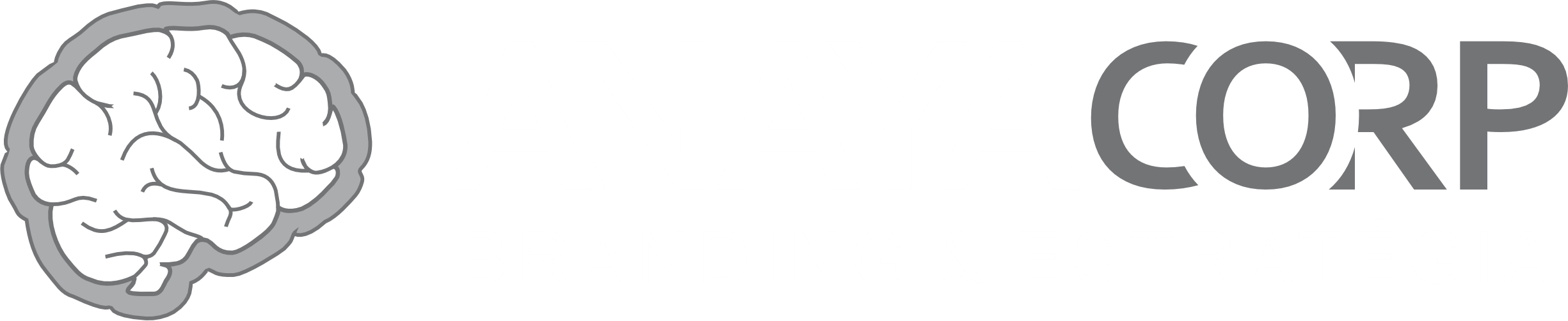 Nysc Startegy & Co